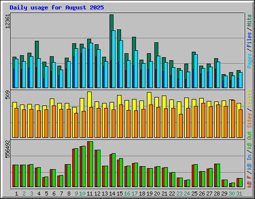 Daily usage for August 2025