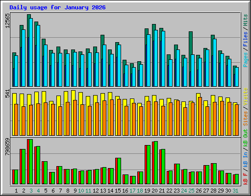 Daily usage for January 2026