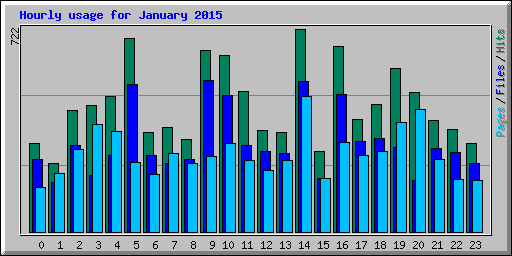 Hourly usage for January 2015