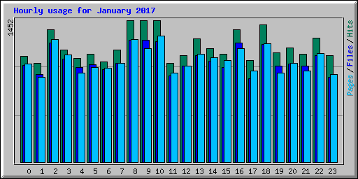 Hourly usage for January 2017
