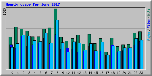Hourly usage for June 2017