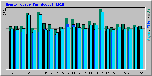 Hourly usage for August 2020