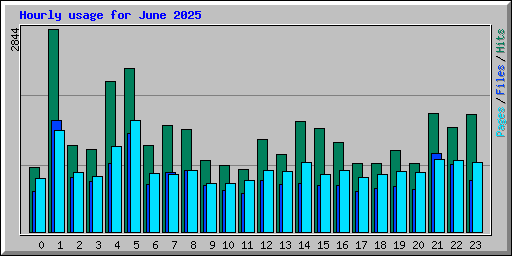 Hourly usage for June 2025