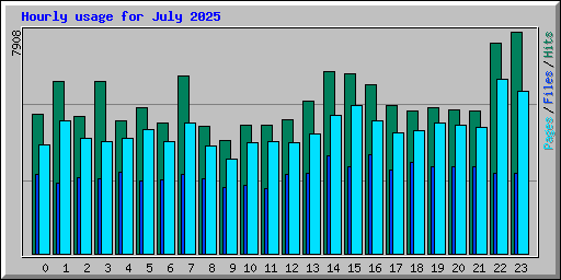 Hourly usage for July 2025