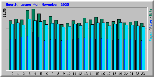 Hourly usage for November 2025