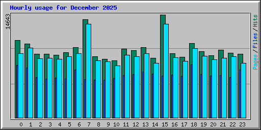 Hourly usage for December 2025
