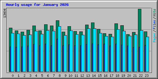 Hourly usage for January 2026