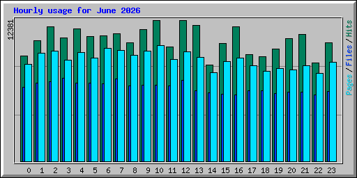 Hourly usage for June 2026