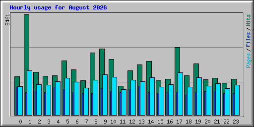 Hourly usage for August 2026